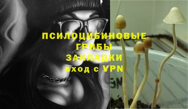 Альфа ПВП Белокуриха