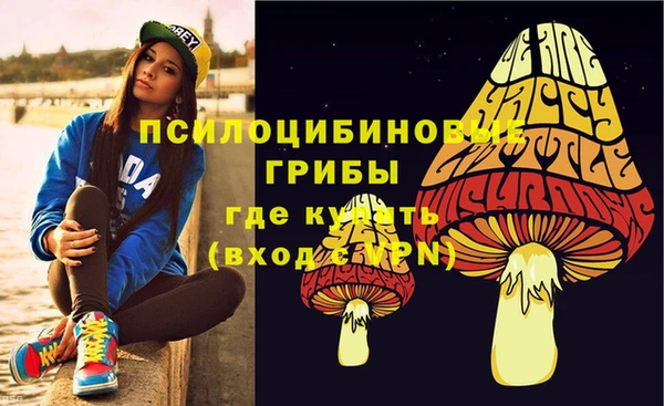 Альфа ПВП Белокуриха