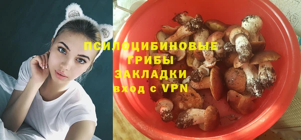 Альфа ПВП Белокуриха