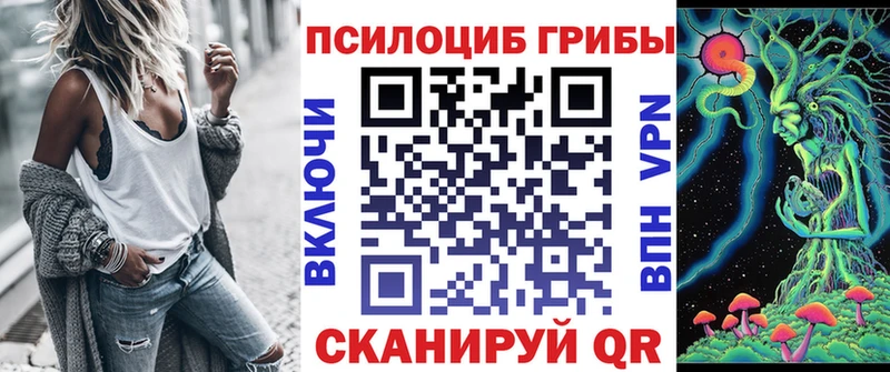 мега как войти  Мостовской  Псилоцибиновые грибы Magic Shrooms 